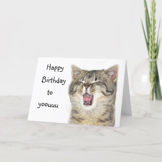 Carte Chaton De Joyeux Anniversaire Zazzle Fr