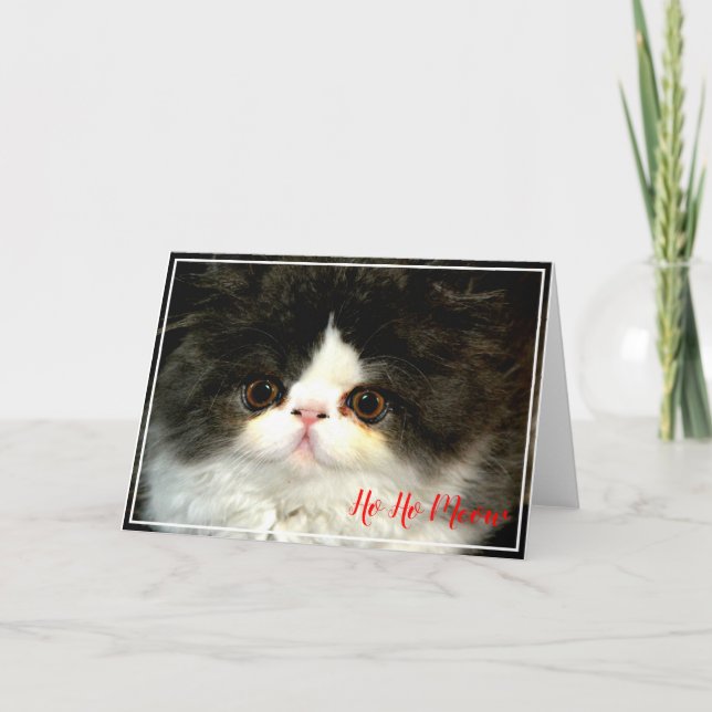 Carte Chaton de Noël floconneux noir et blanc (Devant)