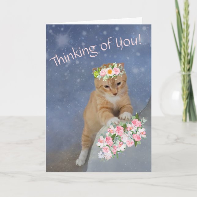 Carte Chaton doux et fleurs Cancer Support (Devant)