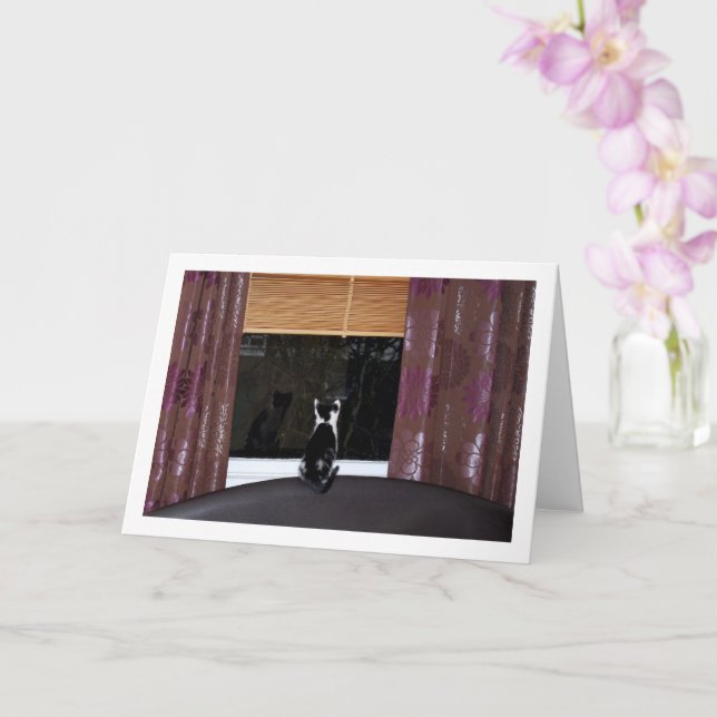 Carte Chaton noir et blanc à la fenêtre (Orchidée)