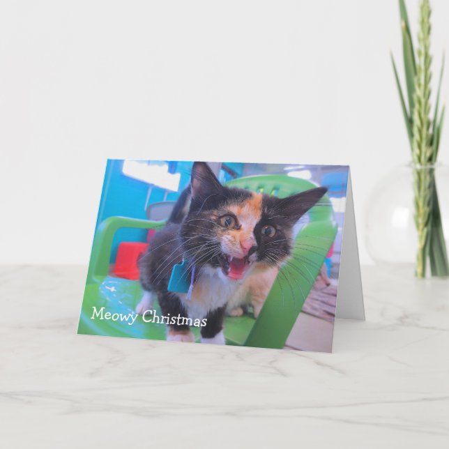Carte Chaton pleurant (Devant)