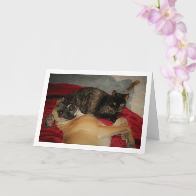 Carte Chaton Tortoiseshell doux avec chiot (Orchidée)