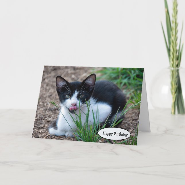 Carte Chaton Tuxedo avec la langue qui sort (Devant)