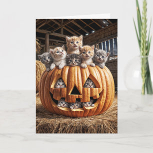 Carte Chatons Dans Citrouille d'Halloween