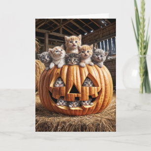 Carte Chatons Dans Une Citrouille Pour Anniversaire
