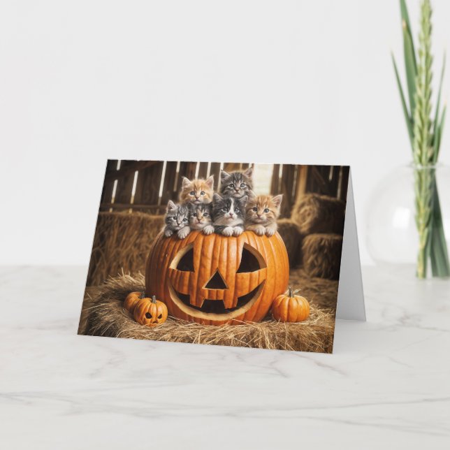 Carte Chatons En Grange Halloween Citrouille (Devant)