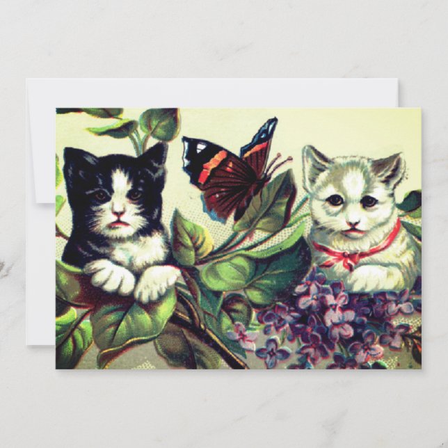 Carte Chatons vintage avec papillon (Devant)