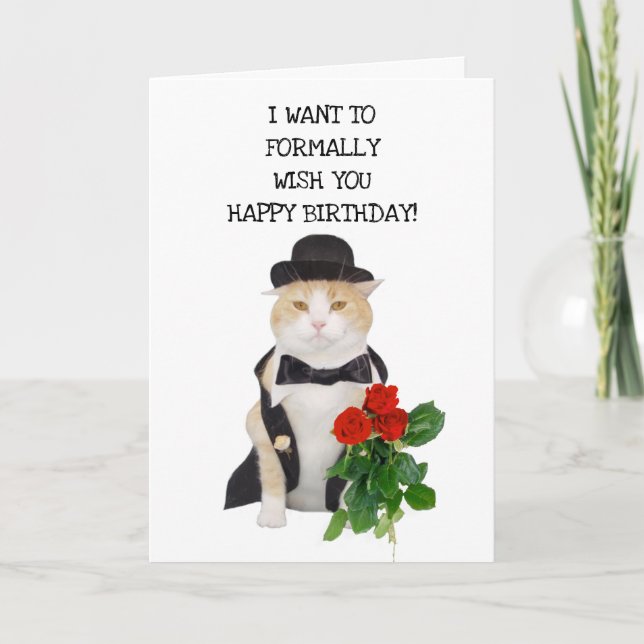 Carte Chats Amusants Formels Anniversaire Voeux (Devant)