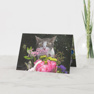 Carte Chats amusants / Kitties Joyeux anniversaire de no