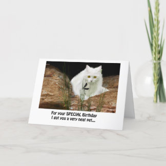 Carte chats blancs et libellules recadrés, texte d'anniv