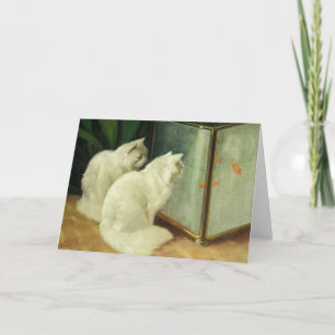 Carte Chats blancs regarder le poisson rouge
