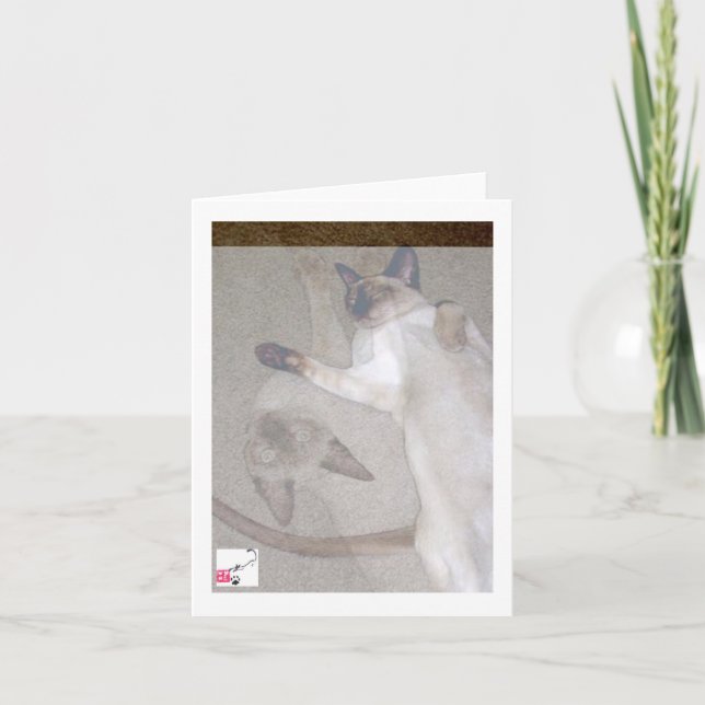 Carte Chats de vol (Devant)
