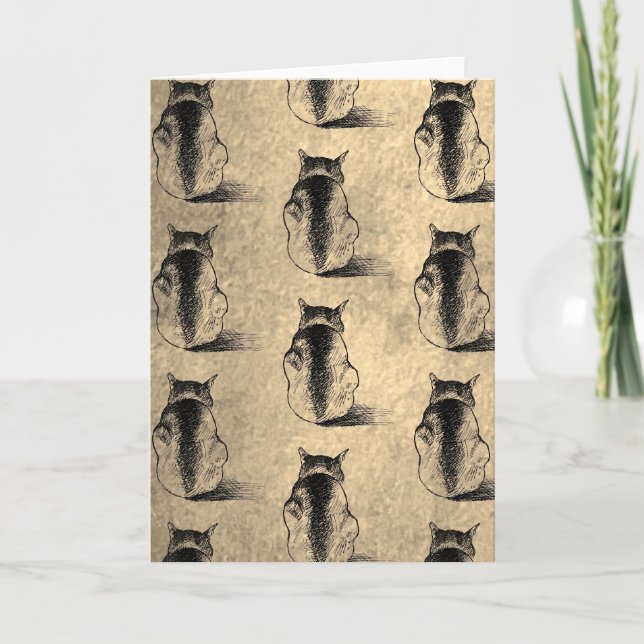 Carte Chats Dessin Encre Illustration Art (Devant)