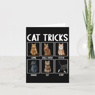 Carte Chats Drôle Chat Tricks