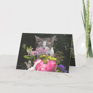 Carte Chats Drôle/Kitts Joyeux Anniversaire Éstrangé Cou