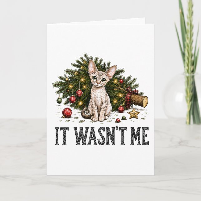 Carte Chats drôles de Devon Rex Noël C'était pas moi (Devant)