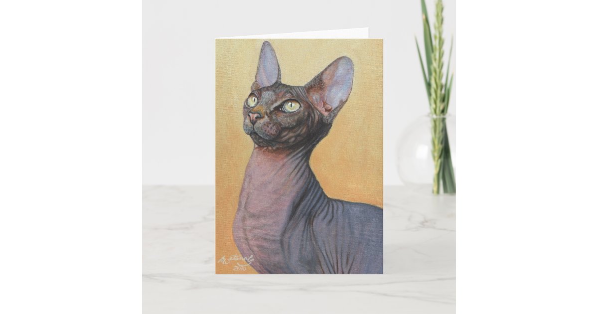 Carte Chats Electra De Chat De Sphinx De Sphynx Zazzle Fr