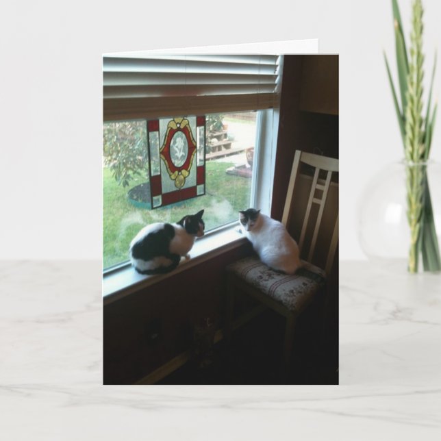 Carte Chats en attente (Devant)