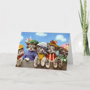 Carte Chats en Casquette