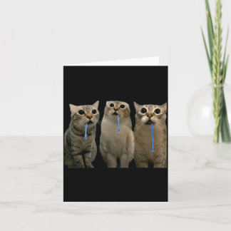 Carte Chats qui crient après un chat qui bave Double Mem