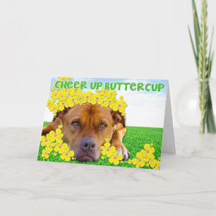 Carte Cheer up Buttercup !