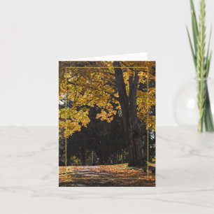 Carte Chemin vers le confort