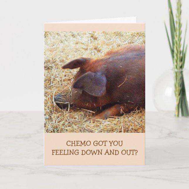 Carte Chemo Encouragement Funny Pig Card (Devant)