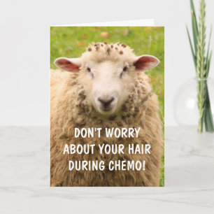 Carte Chemo Support Drôle Sheep
