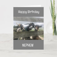 **CHÈQUES COOL** DITES BONJOUR D'ANNIVERSAIRE