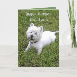 Carte Cher ami de joyeux anniversaire