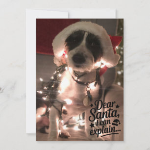 Carte Cher Père Noël je peux expliquer (chien)