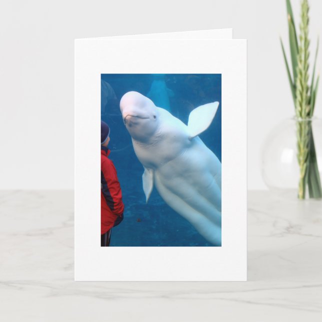 Carte Cherish the magical moments (Devant)