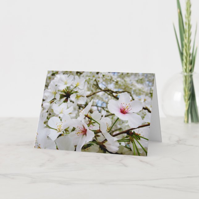 Carte Cherry Blossoms 5 Sympathy Card (Devant)