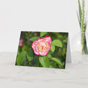 Carte Cherry Parfait Rose