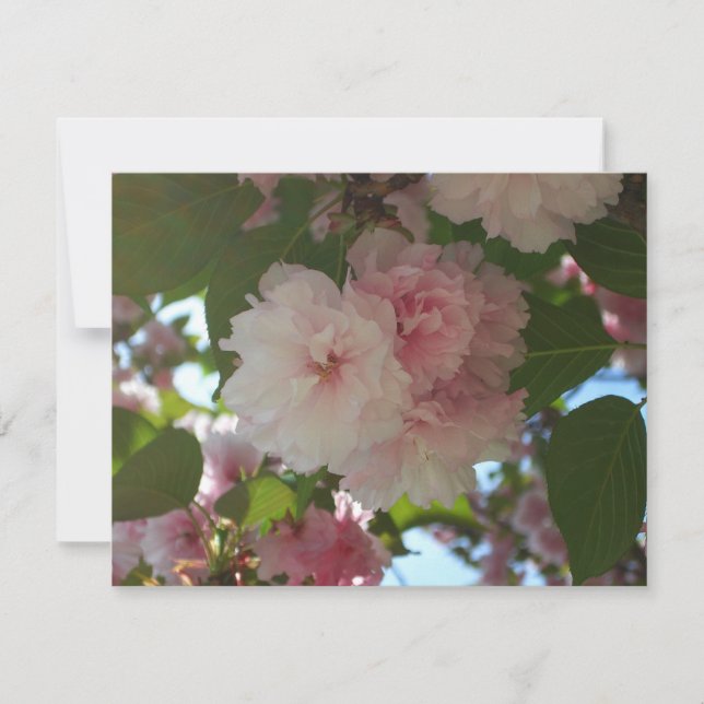 Carte Cherry Tree I Spring Floral (Devant)