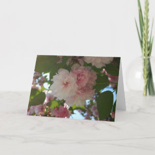 Carte Cherry Tree I Spring Floral