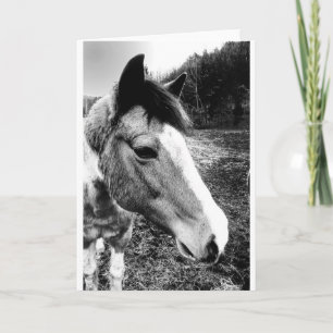 Carte Cheval
