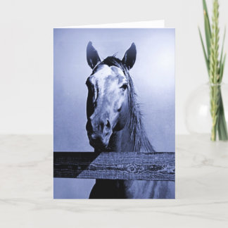 Carte Cheval