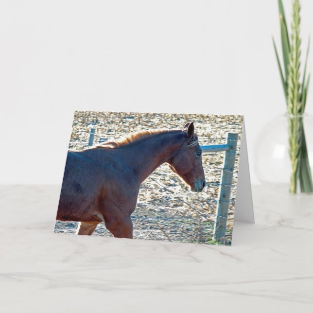 Carte Cheval (Devant)