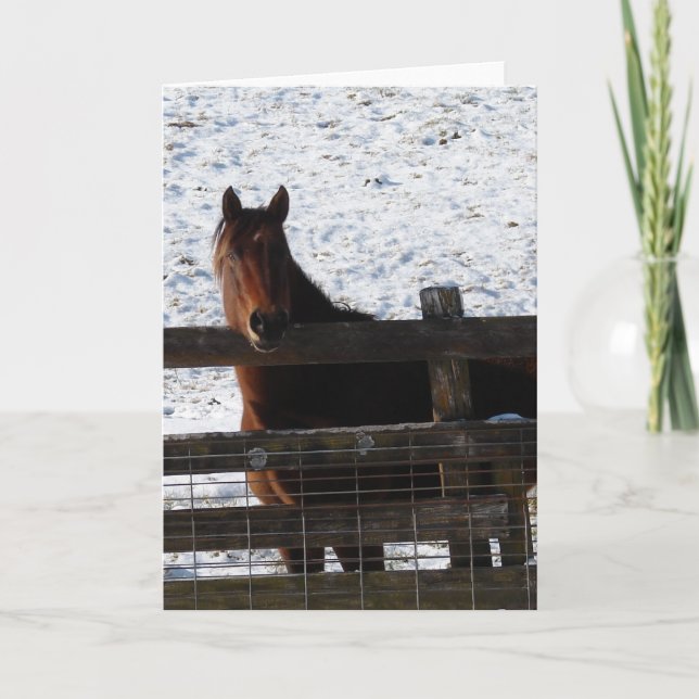 Carte Cheval à la clôture (Devant)