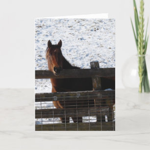 Carte Cheval à la clôture