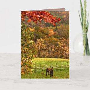 Carte Cheval à l'anniversaire d'automne