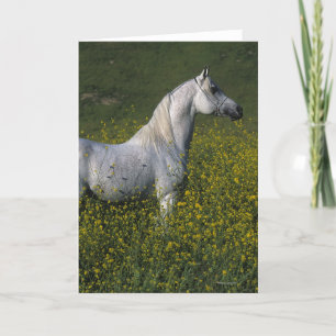 Carte Cheval arabe debout en fleurs