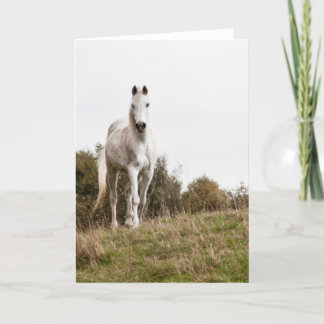 Carte Cheval blanc
