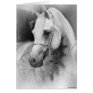 Carte Cheval Blanc