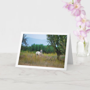 Carte Cheval Blanc dans Champ