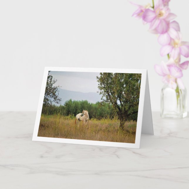 Carte Cheval blanc dans un champ (Orchidée)
