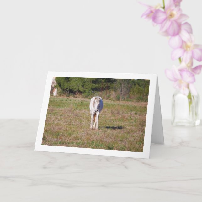 Carte Cheval blanc dans un champ (Orchidée)