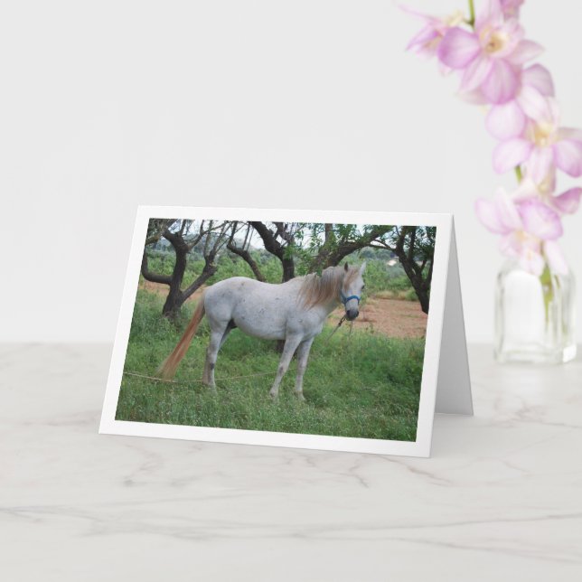 Carte Cheval blanc dans un champ d'herbe (Orchidée)