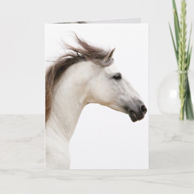Carte Cheval Blanc exécute Horse Grey Card (Devant)